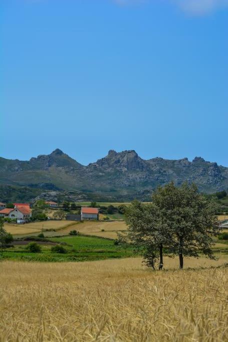 Willa Casa Fonte Fria Pitoes das Junias Zewnętrze zdjęcie